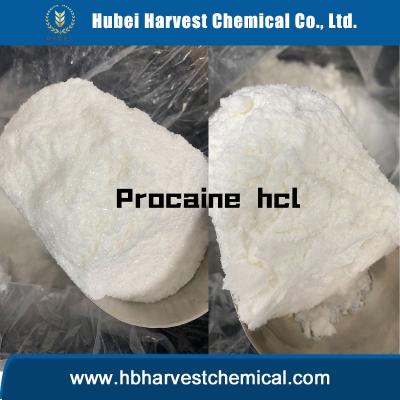 Procaine hcl CAS 51-05-8 25kg